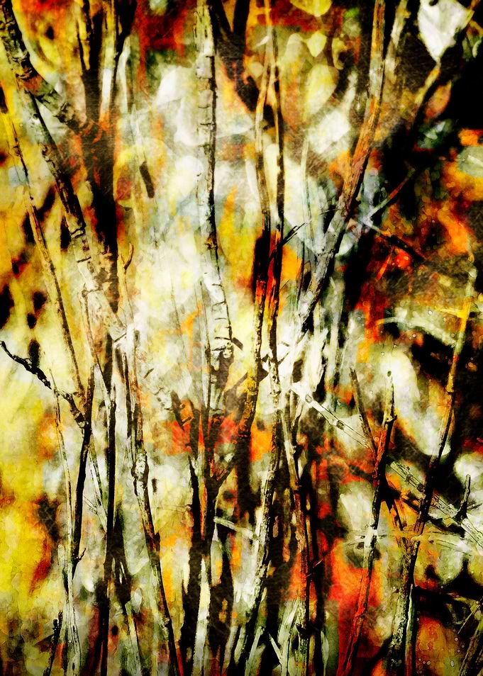 Shape Shifter 2