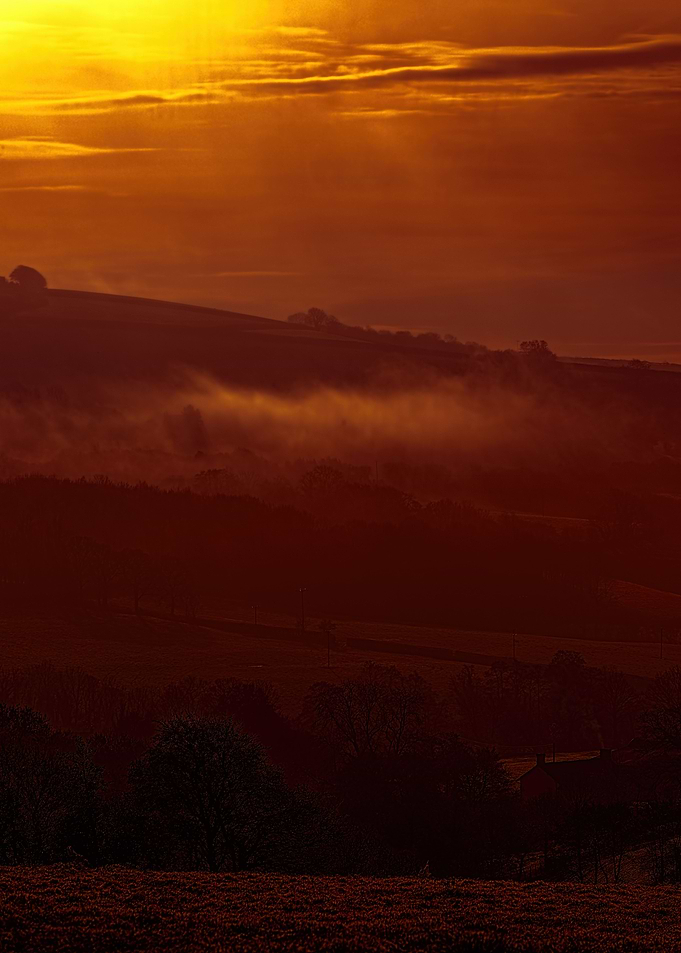 Devon Fog 26