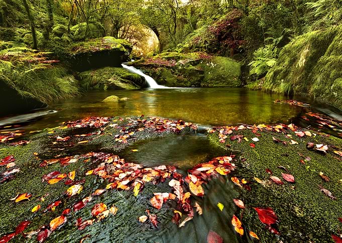 Red and Green