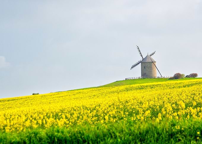 windmill of my mind