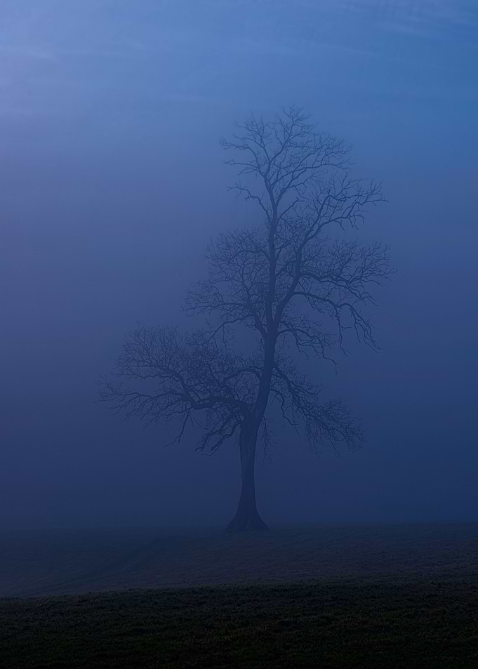 Devon Fog 20