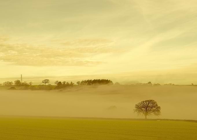 Devon Fog 32