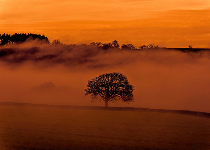 Devon Fog 33