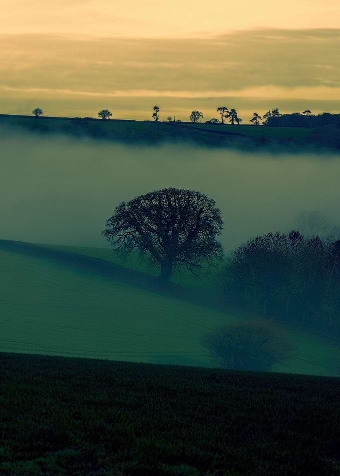Devon Fog 21