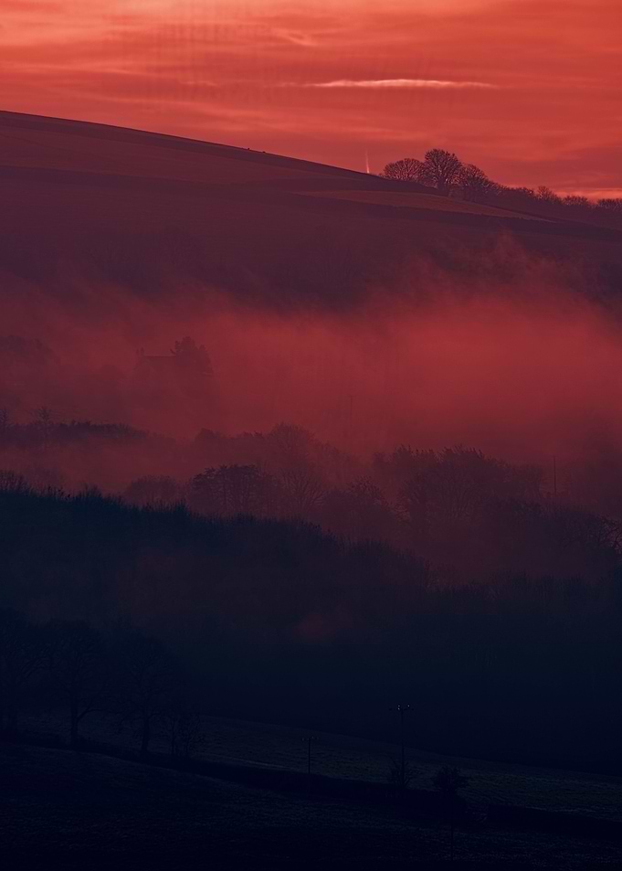 Devon Fog 24
