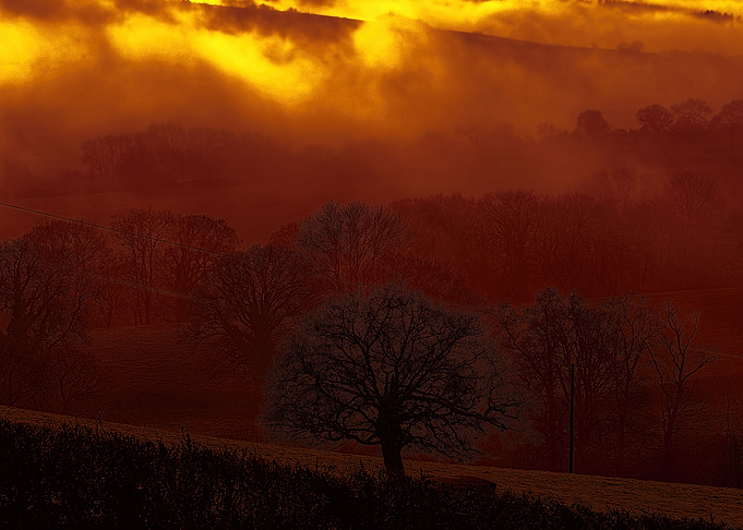 Devon Fog 34