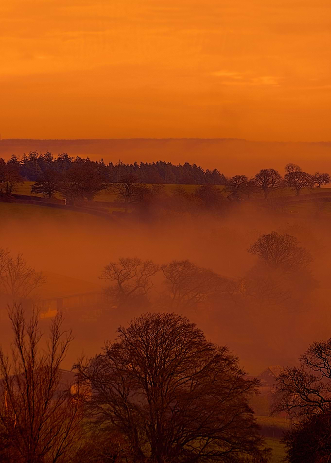 Devon Fog 23