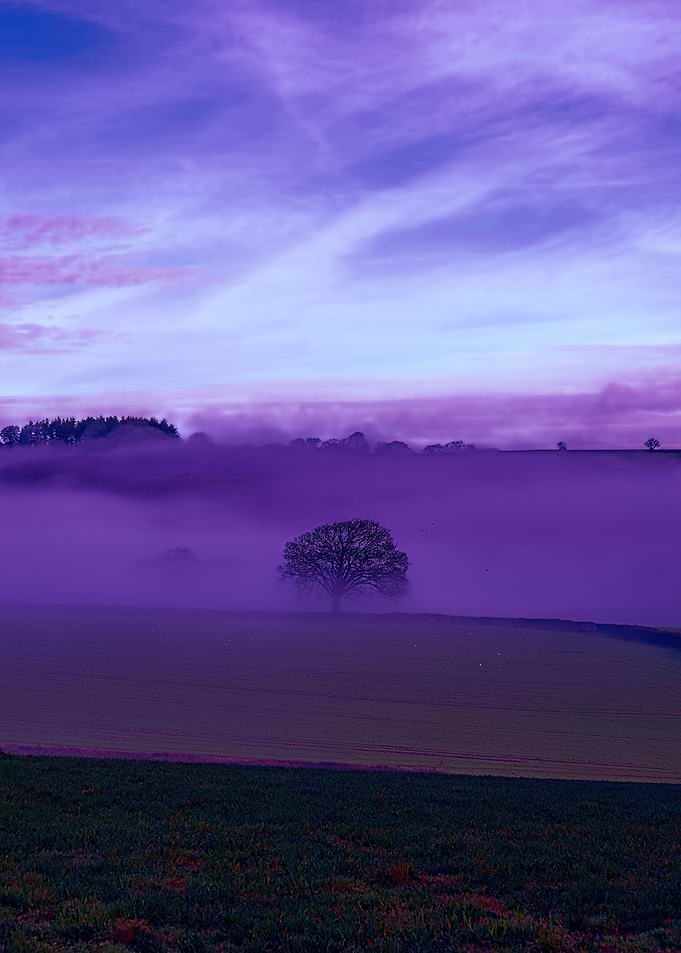 Devon Fog 19