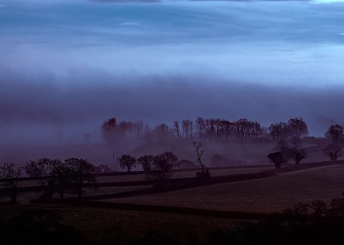 Devon Fog 31