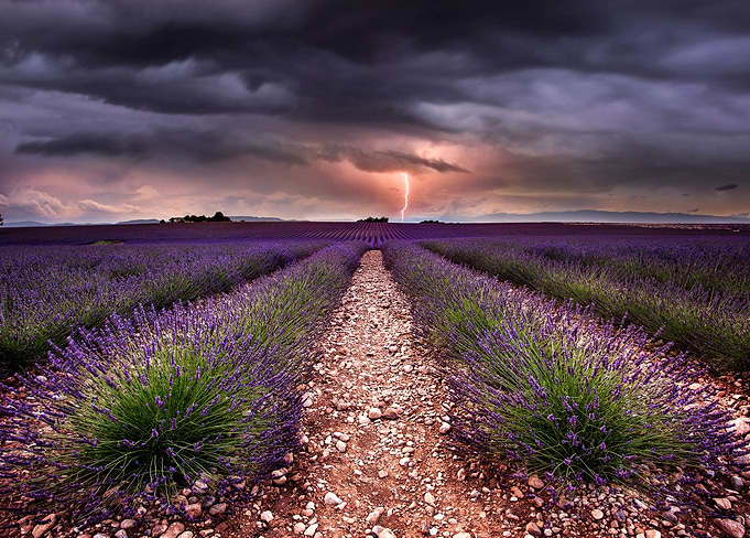 Tesla fields