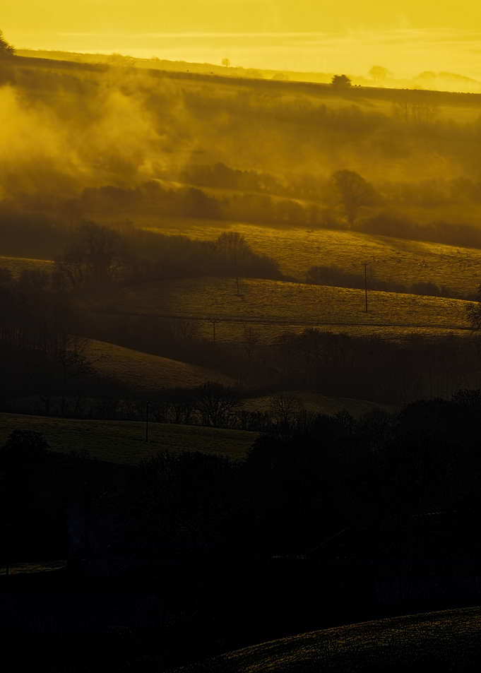 Devon Fog 25