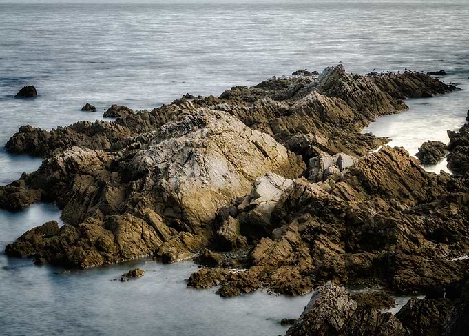 Wildcoast