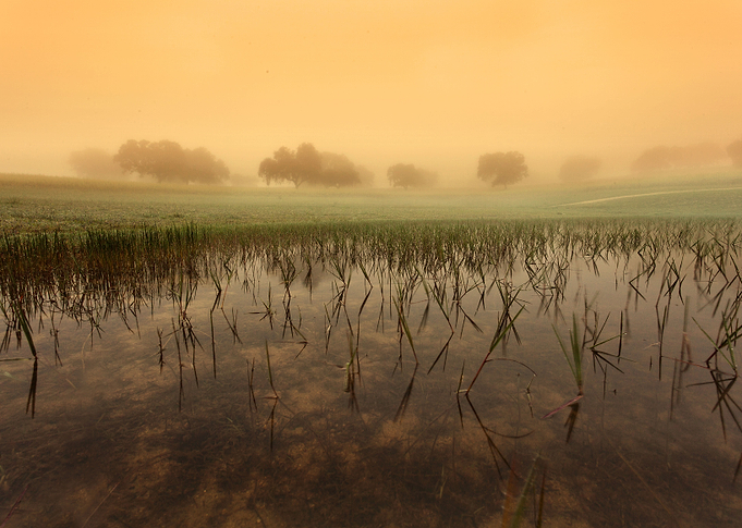 At dawn