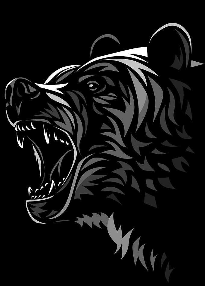 Tribal Bear Attack