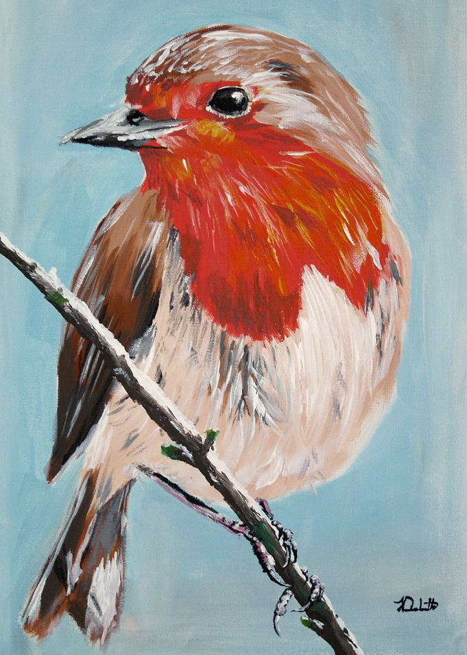 Winter Robin