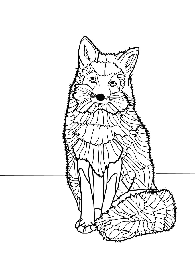 Fox