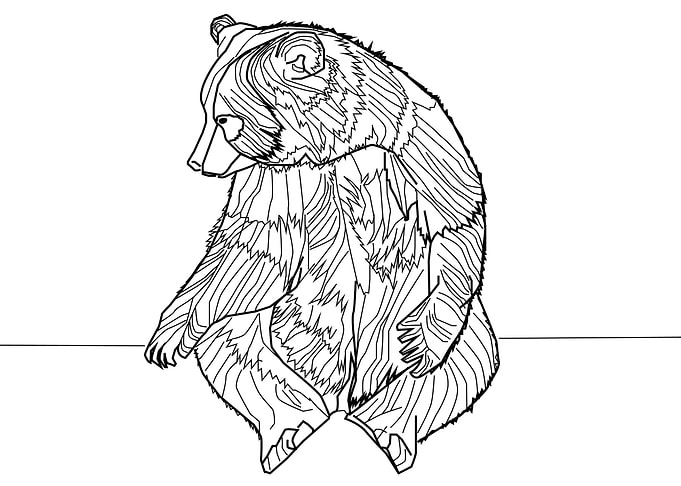 Bear