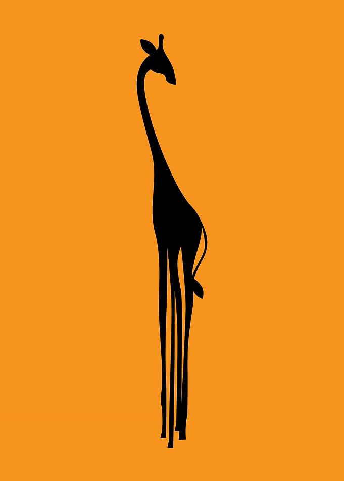 giraffe