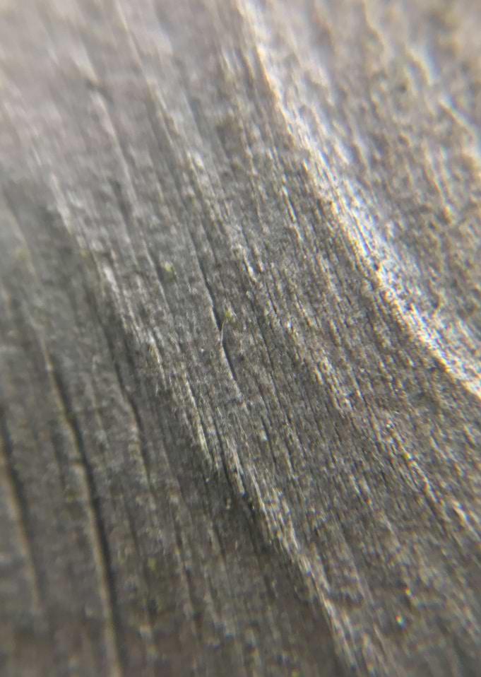 Woodgrain