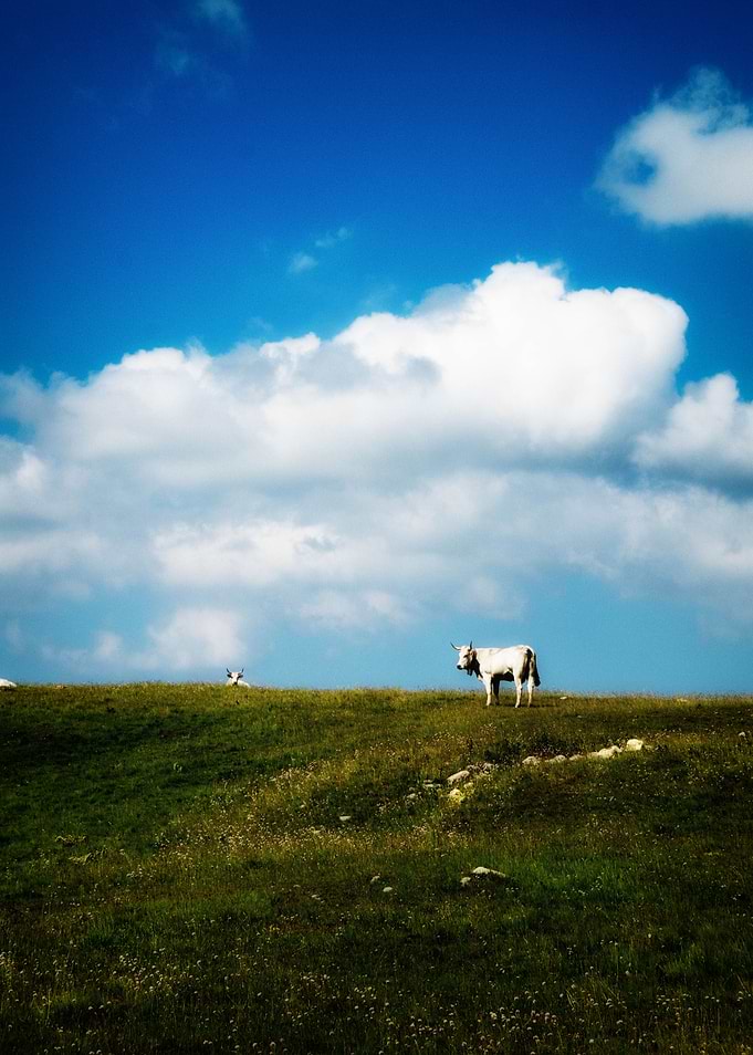 on the ridge