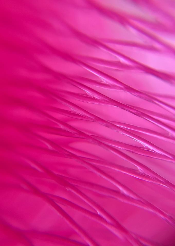 Pink light