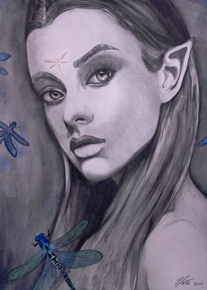 Dance of the Dragonflies
