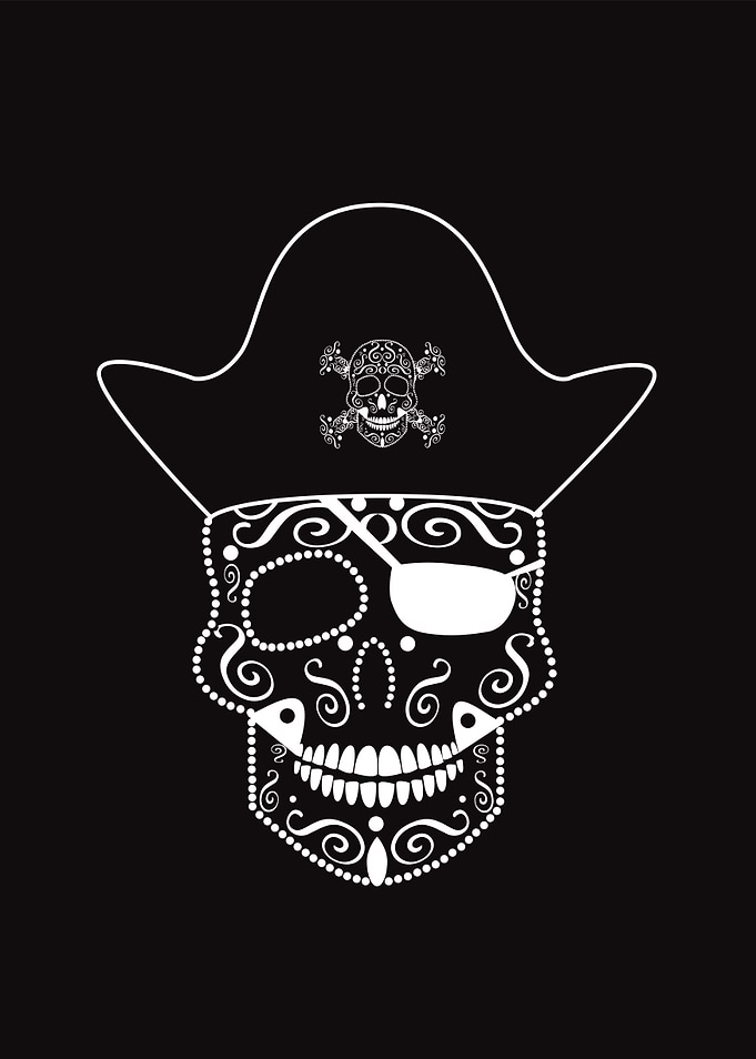 Skull pirate icon vector illustration