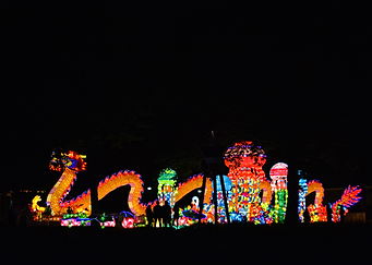 Admiring the Lanterns