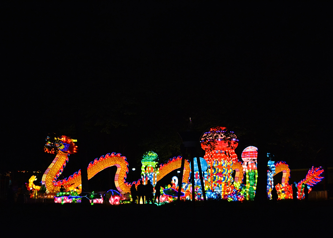 Admiring the Lanterns