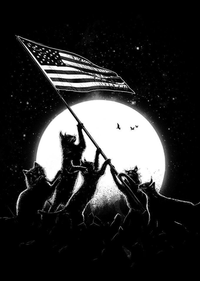 Freedom Cats American Flag
