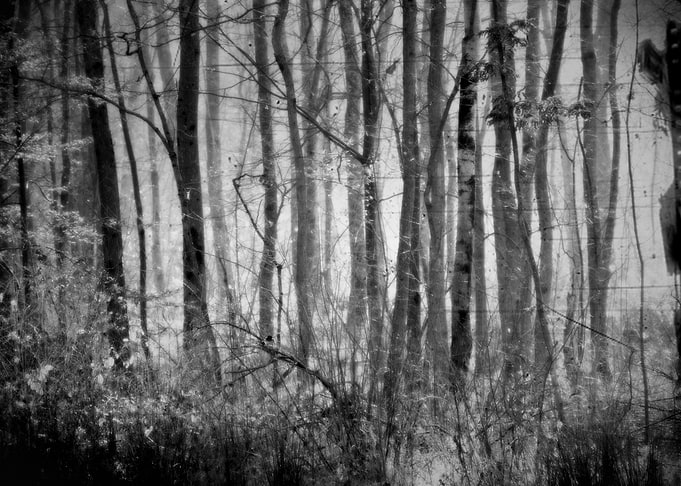 Light Through