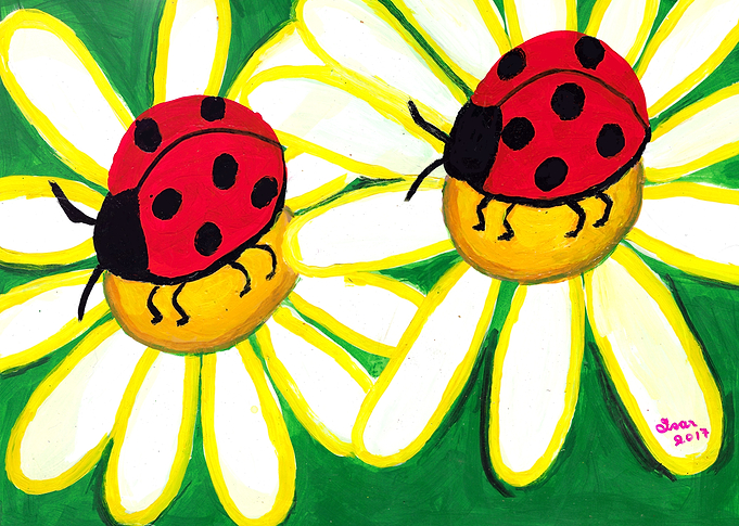 Ladybugs