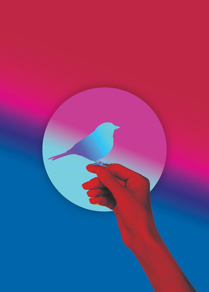 Colorful bird