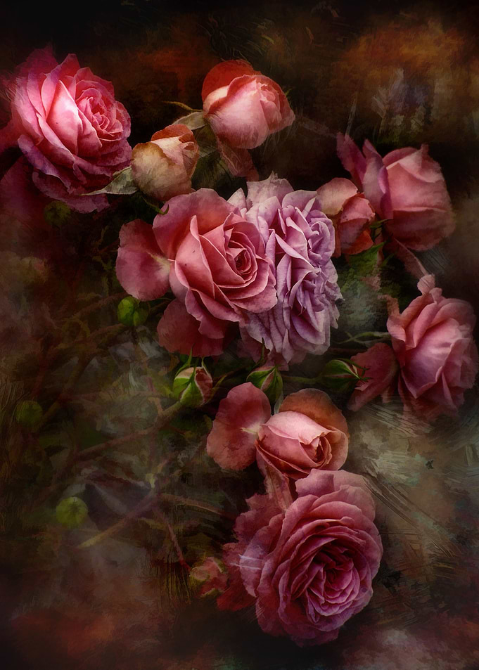 Renaissance Roses