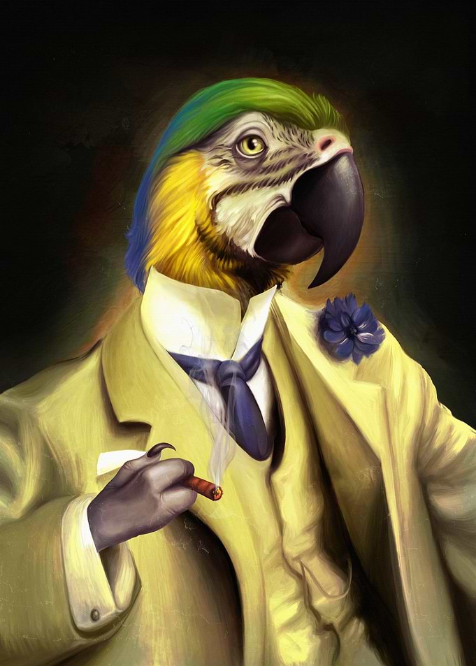 Parrot Gentleman