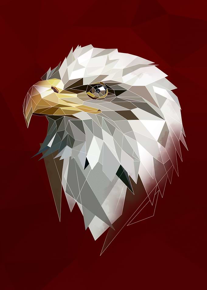 White Eagle Sketch