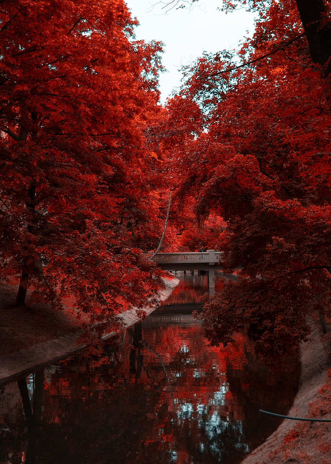 Red May