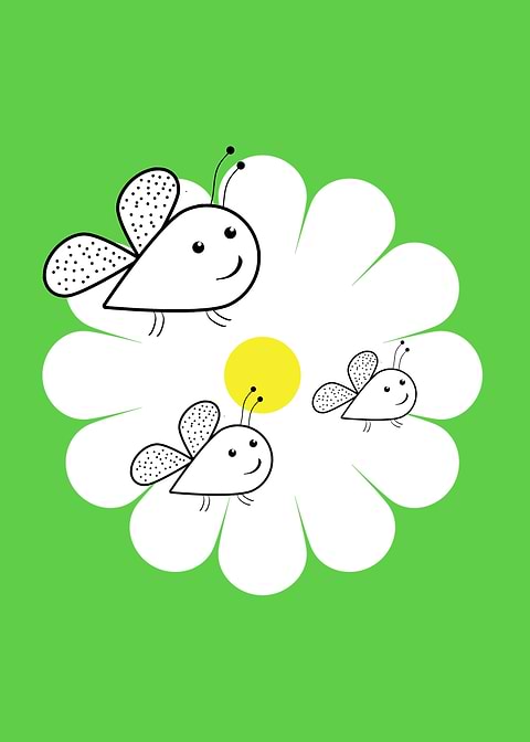 Three bees and white flower