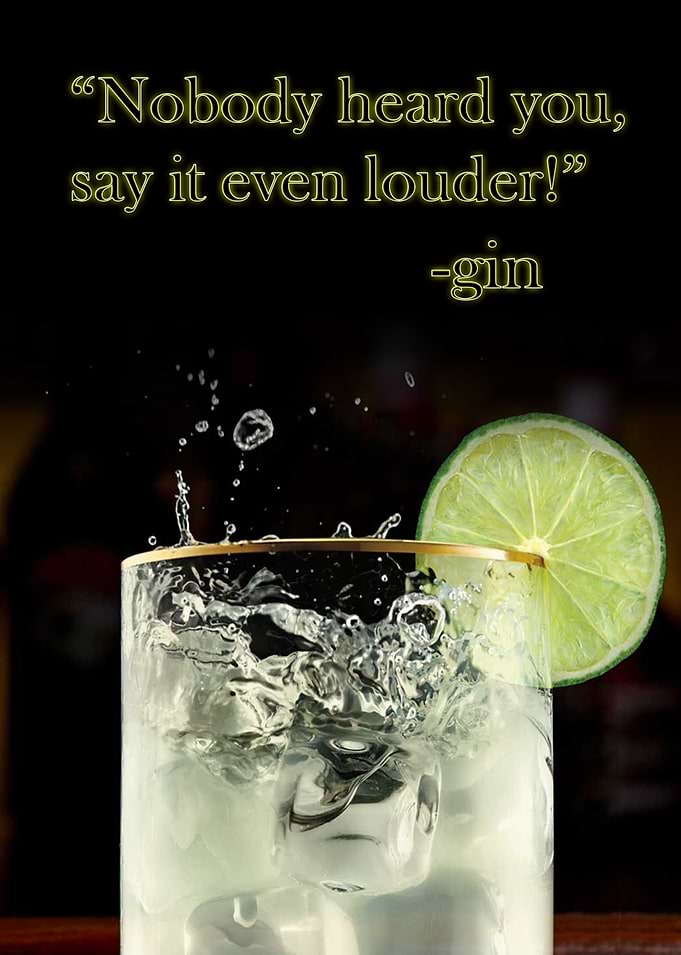 Funny gin poster