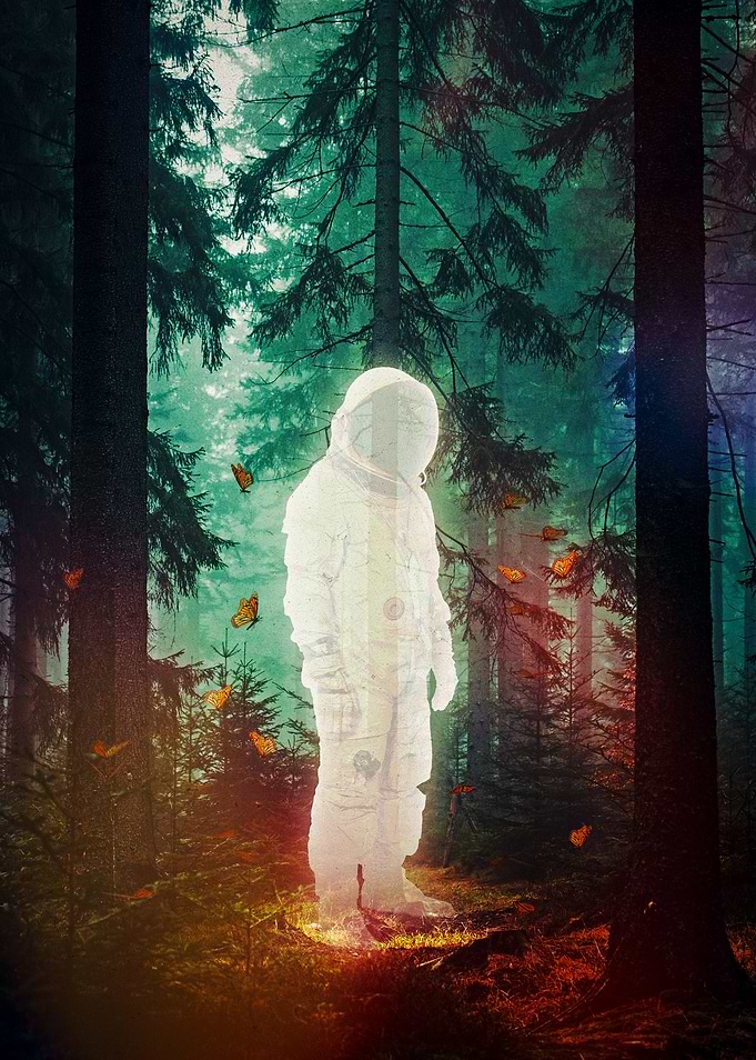 The Lost One