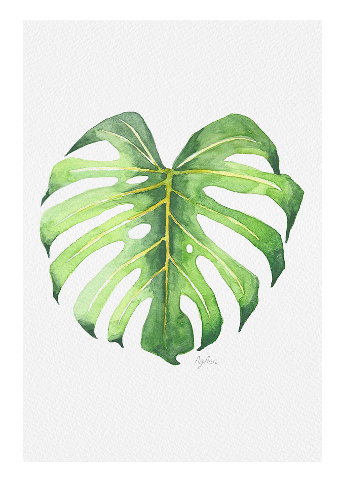 Botanicals: Monstera Leaf