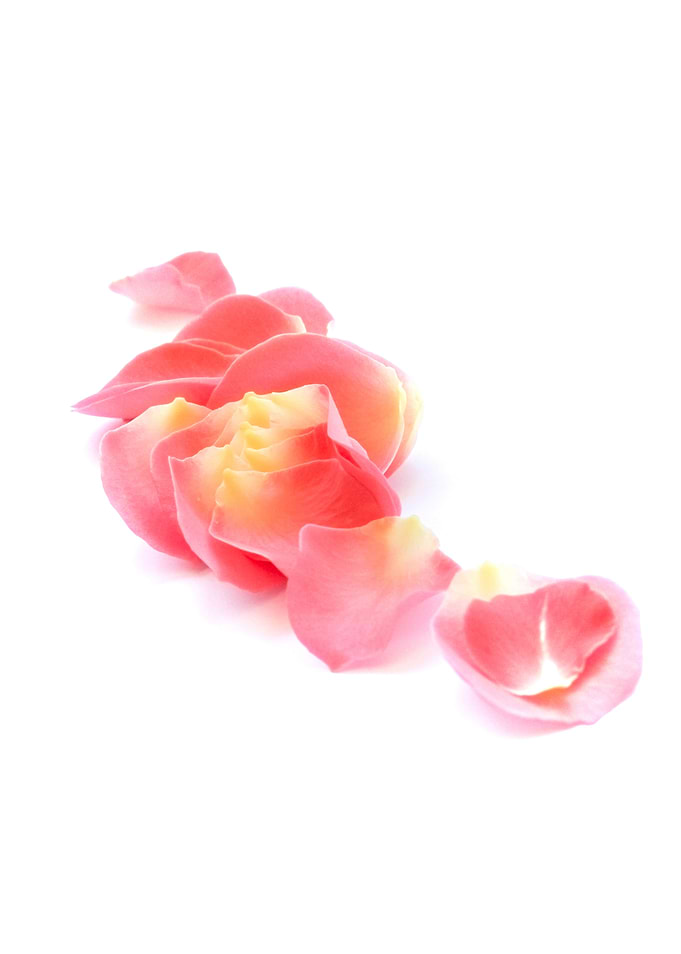 Pink petals