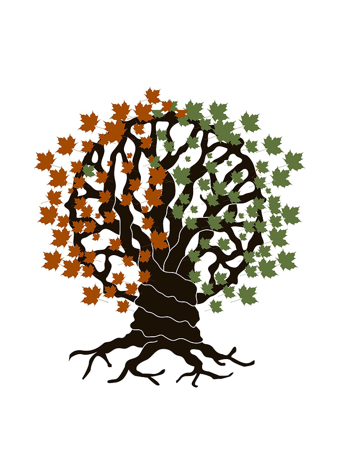 leafy tree