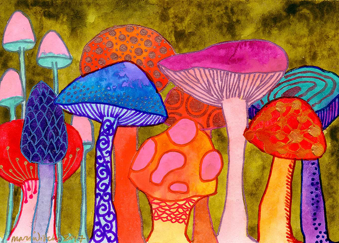 Faery Signs