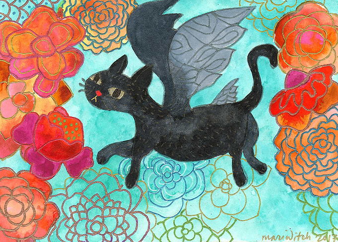 Chaser Cat