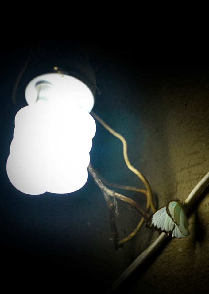 Electrical Miracle