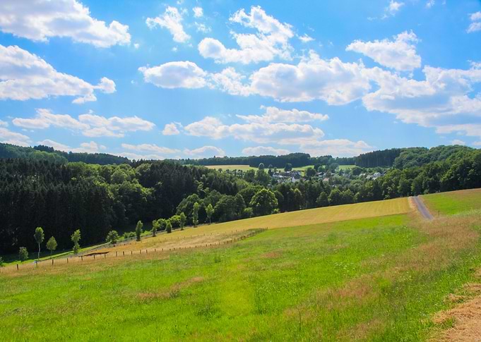 Landscape - Summer