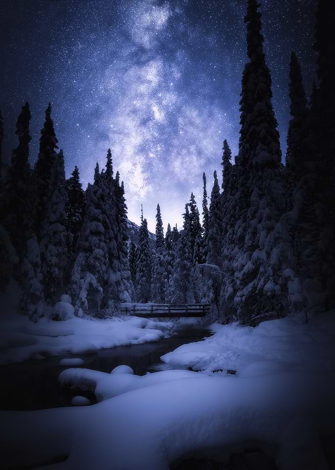 Magical Night