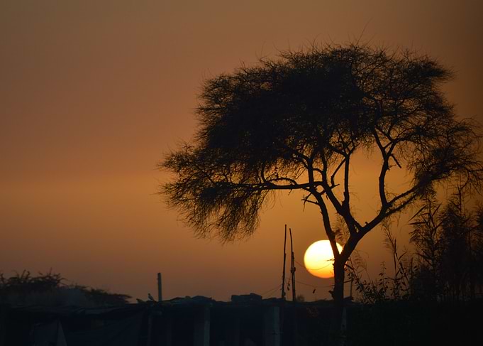 Sunset