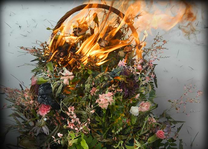 The Flowers of Romance